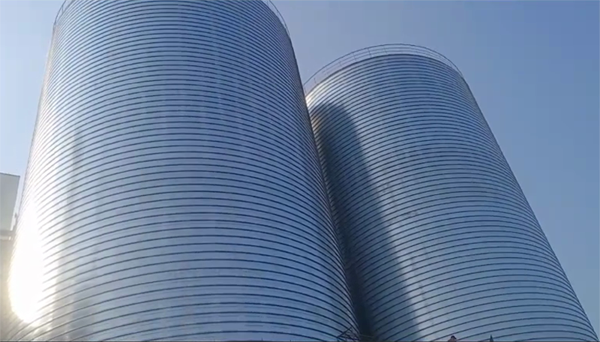 灵武2座混凝土高架卷板仓